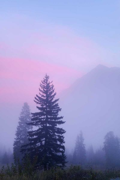 Canada, BC, Mt Robson PP Foggy sunrise scenic